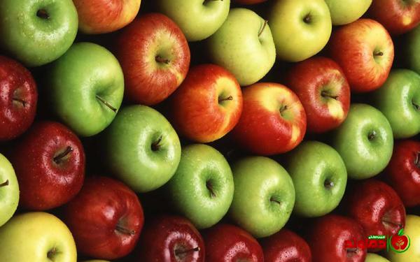 بزرگترین فروشندگان سیب درختی درجه یک در  ایران
