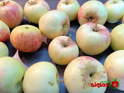 خرید سیب یخی | فروش انواع سیب یخی با قیمت مناسب